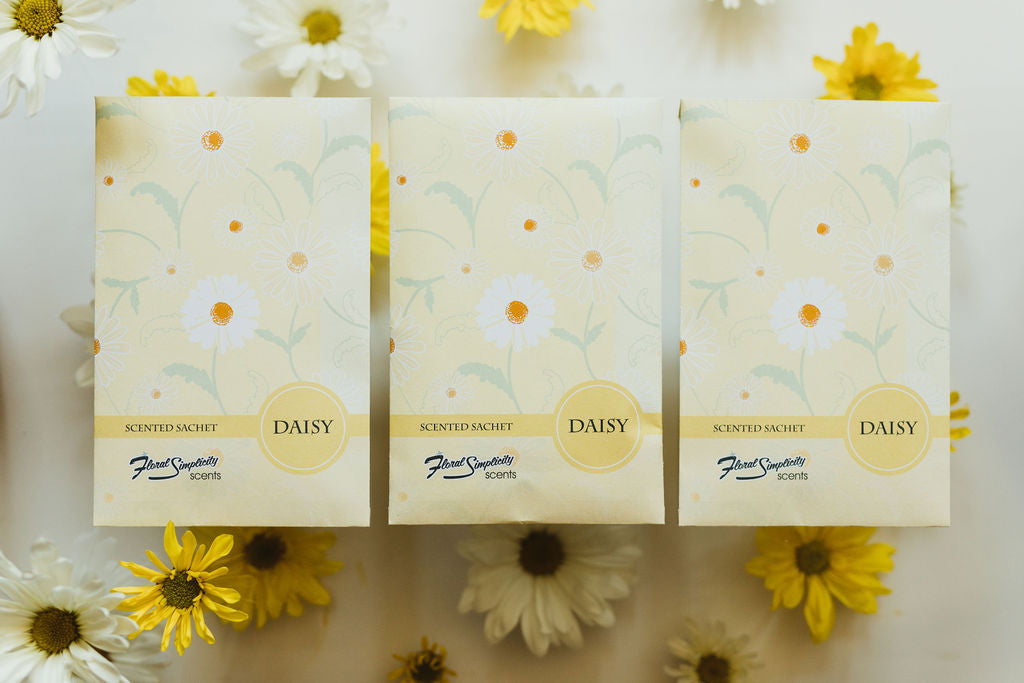 Daisy - 6 Pack